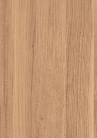 Parona Walnut door finish close-up