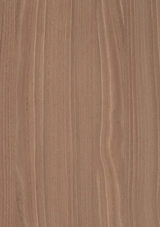 Natural Bolivar Wood door finish close-up