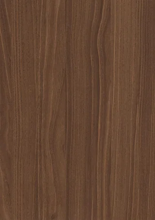 Brown Bolivar Wood door finish close-up