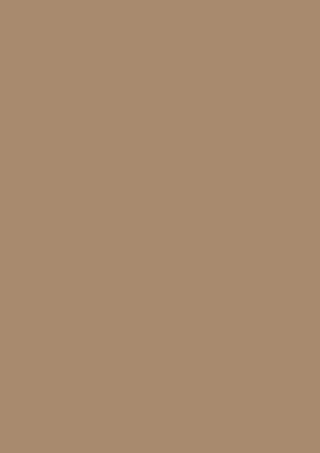 Caramel Beige door finish close-up
