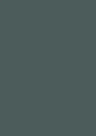 Stone Green door finish close-up
